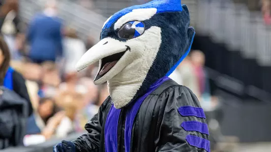 Billy Bluejay Graduation