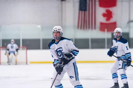 MHockey Results 11-1thru2