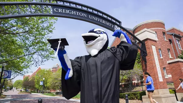 Billy Bluejay graduation cap gown degree