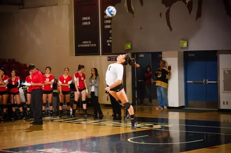 WVB-vs-Air-Force-36.jpg
