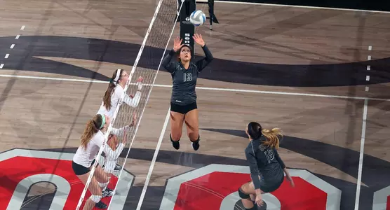 Steffi Miller 95