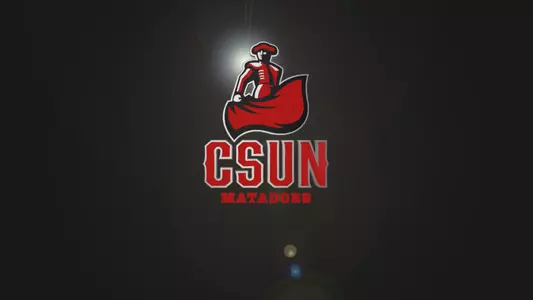 CSUN-Logo-Capture.jpg