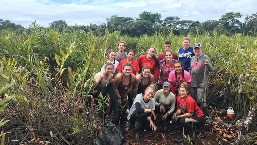 Costa Rica Wickman mangrove group