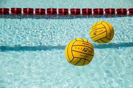 Water Polo Ball