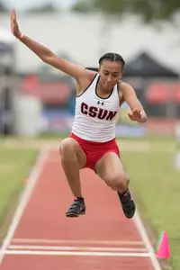 NiemanPoindexterJF01