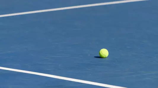 TennisBall.jpg