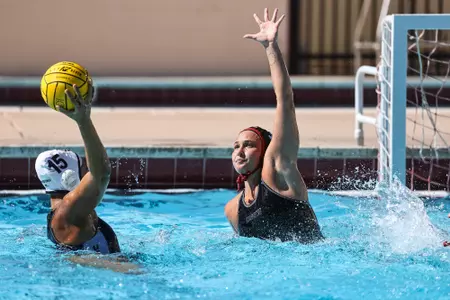 Dorottya Telek vs. UCI