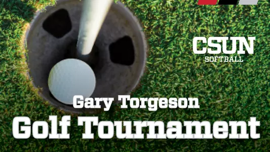Torgeson Graphic 05