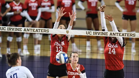 CSUN_WVB_Blocking