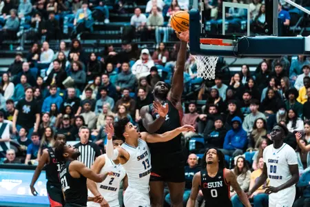 Fidelis Okereke vs. UCSB 1-19-23