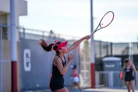 Victoria Santibañez Luna vs. UCR
