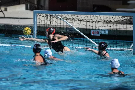 Samantha Bright vs. Concordia 2-10-24