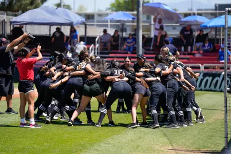 Softball Team Action