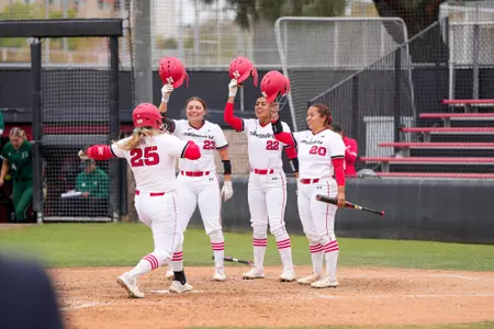 softball action
