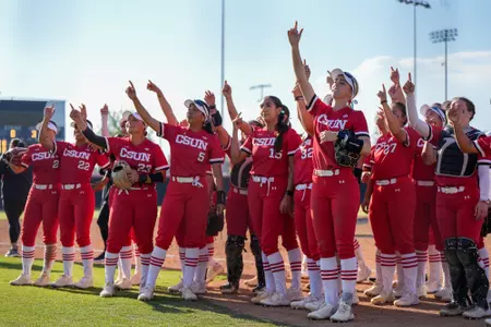 Softball Team Action