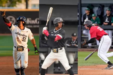 Baseball All-BW 2025