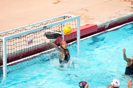 Erika Staine vs. CSF 3-29-25