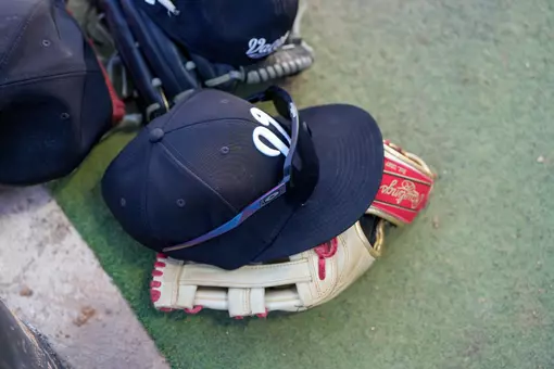 Baseball Generic 2025