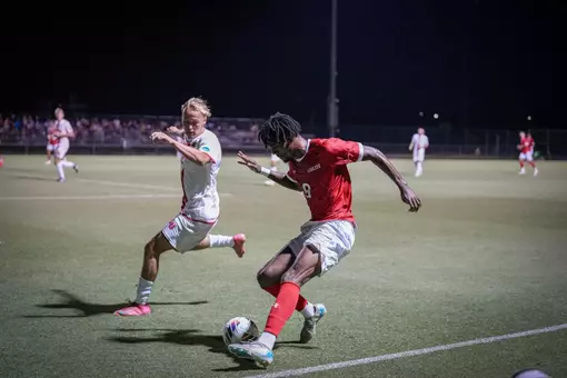 Michael Blevins Action