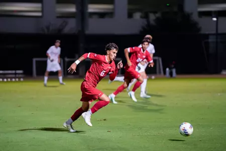 Francisco Garibay Action