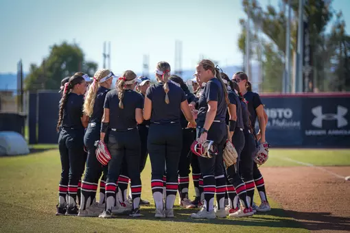 Softball Team Action