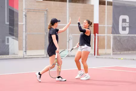 Shepperson/Ishikawa Action