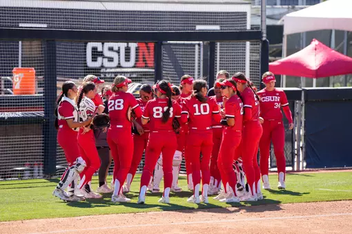 Softball Team Action