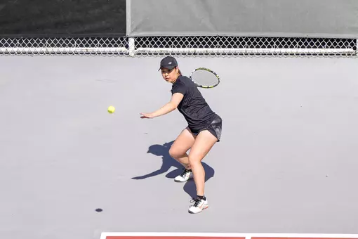 Satuski Iskikawa Action