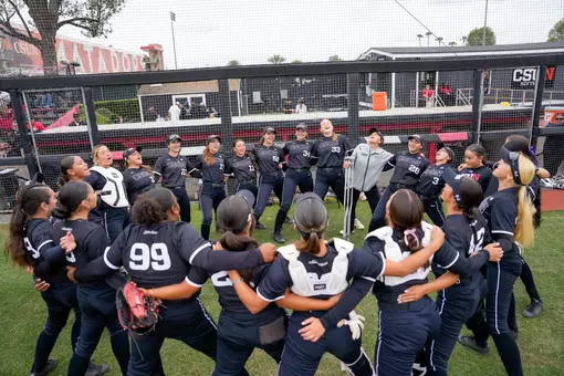 Softball Team Action
