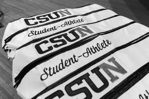 CSUN Mattys 2026