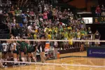 CSU ranks 18th nationally in fan attendance
