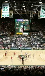 Moby Arena