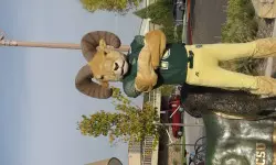The new CAM the Ram