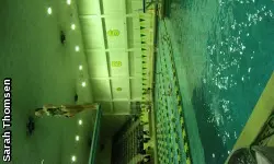 CSU also battled the Cougars in 3-meter diving Saturday