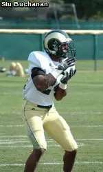 Dominique Vinson