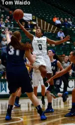 Junior AJ Newton