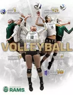 Senior Deedra Foss was named the 2014 Mountain West Women's Volleyball Player of the Year on Monday, one of five Rams recognized by the conference.