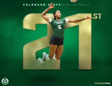 AVCA 21
