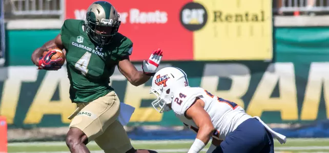 Michael Gallup