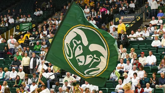 Moby Arena - Flag