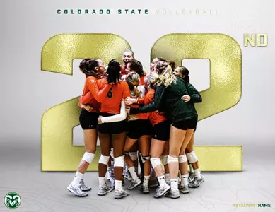 AVCA 22