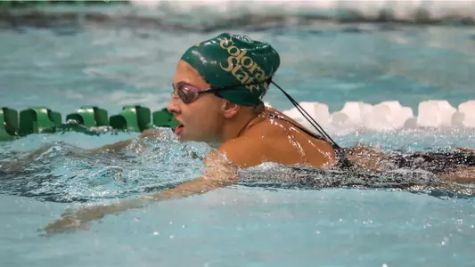 swim & dive