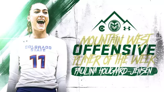 Hougaard - Jensen POW