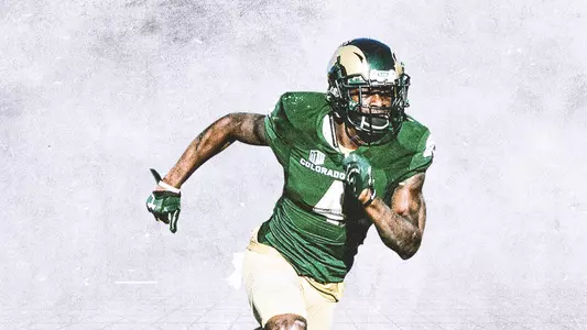 Michael Gallup
