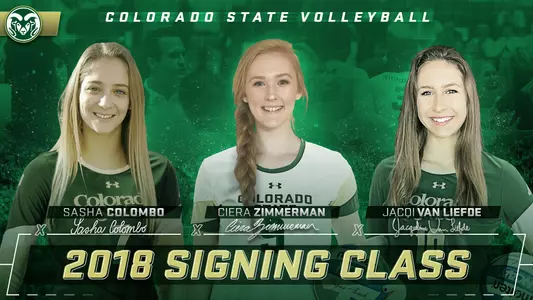 2018 Volleyball NLI