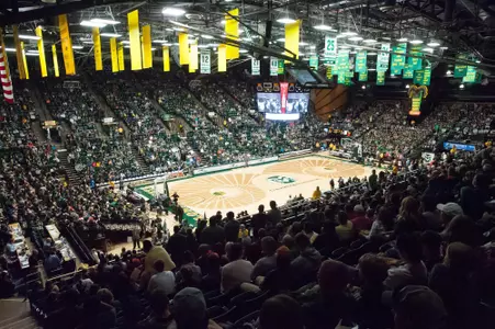 Basketball Crowd Photo