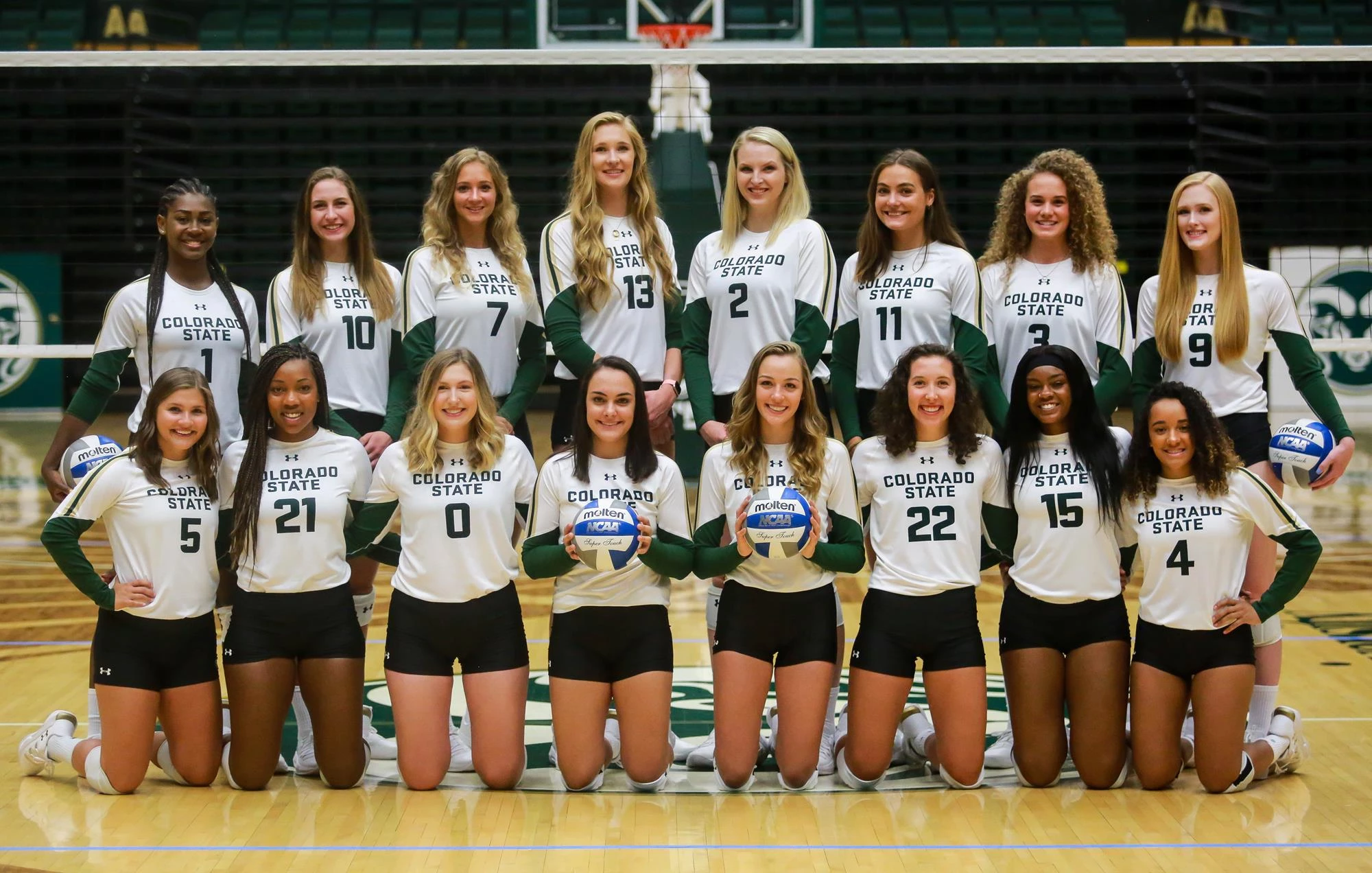 Volleyball Team 2019