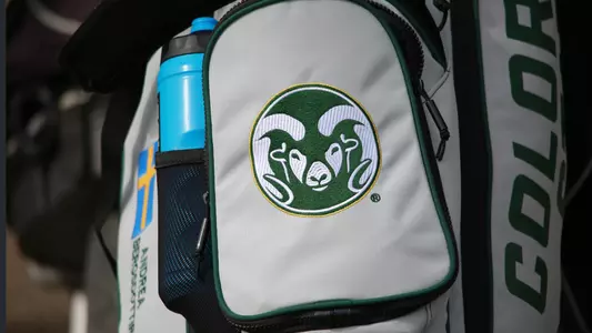 Golf Bag