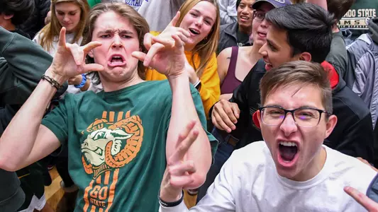 Men's basketball fans