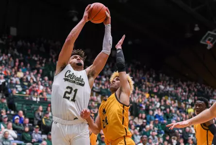 2019-20 CSU MBB - David Roddy